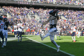 Bears Ravens Football