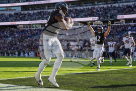 Bears Ravens Football