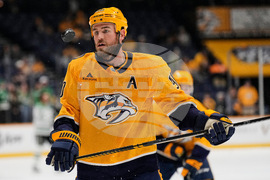 Stars Predators Hockey