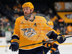 Stars Predators Hockey