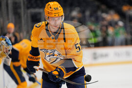 Stars Predators Hockey