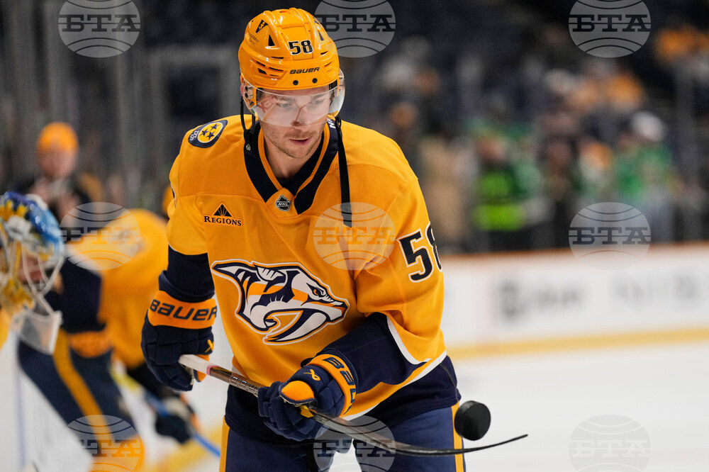 Stars Predators Hockey