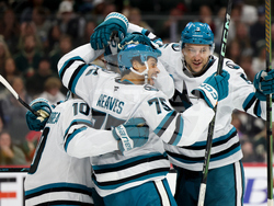 Sharks Wild Hockey