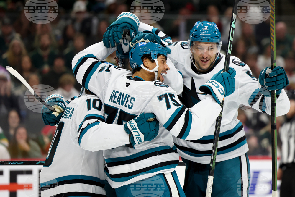 Sharks Wild Hockey