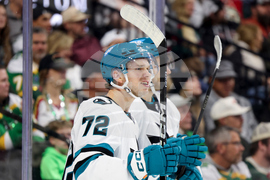 Sharks Wild Hockey