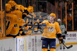 Stars Predators Hockey