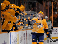 Stars Predators Hockey