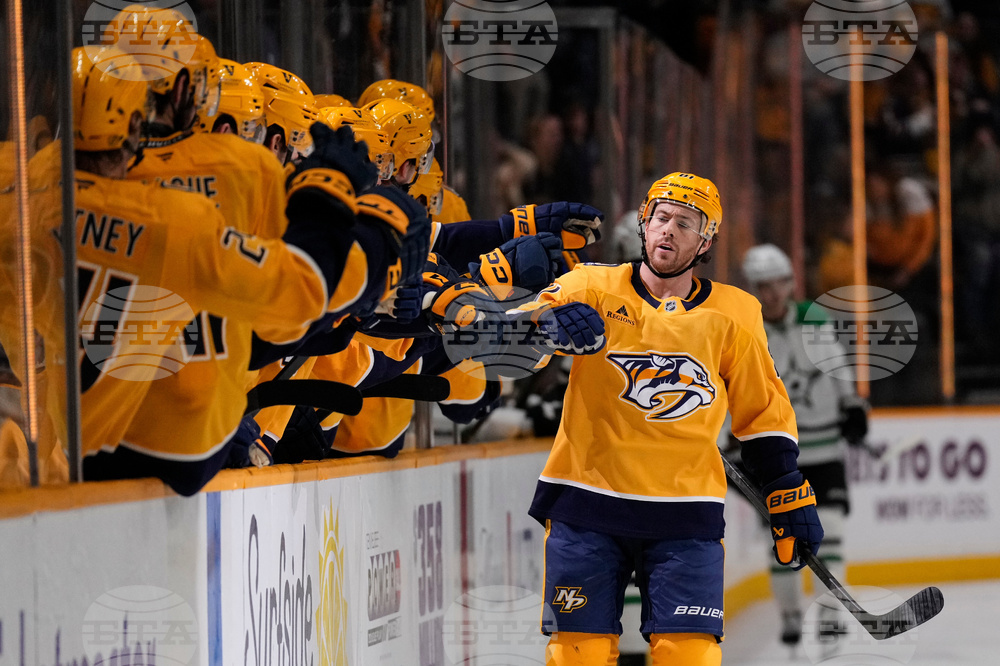 Stars Predators Hockey