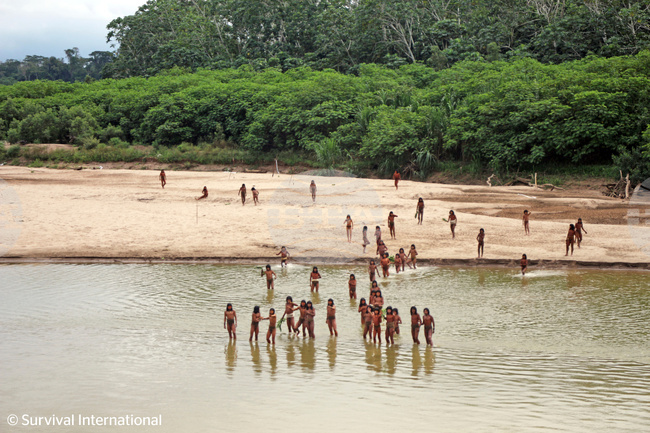 Amazon Uncontacted Tribes Explainer