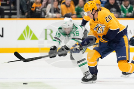 Stars Predators Hockey