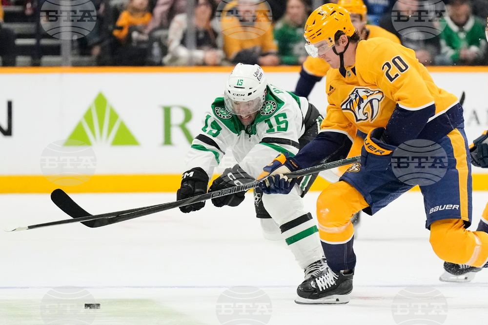 Stars Predators Hockey