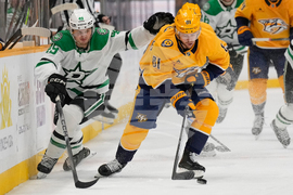 Stars Predators Hockey