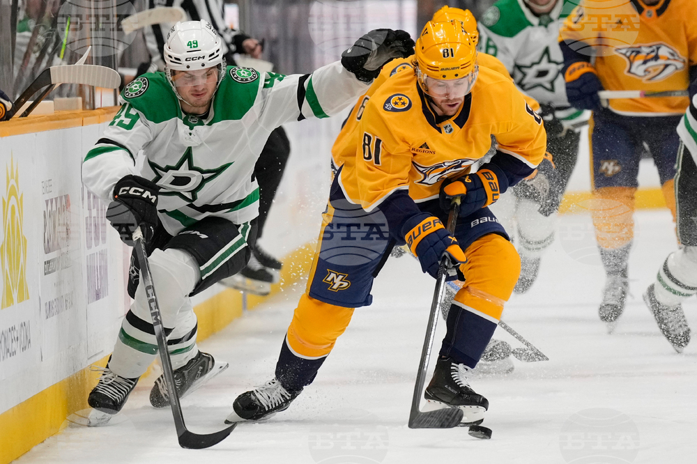 Stars Predators Hockey