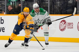 Stars Predators Hockey