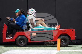 Dolphins Falcons Football