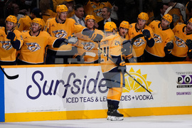 Stars Predators Hockey