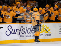 Stars Predators Hockey