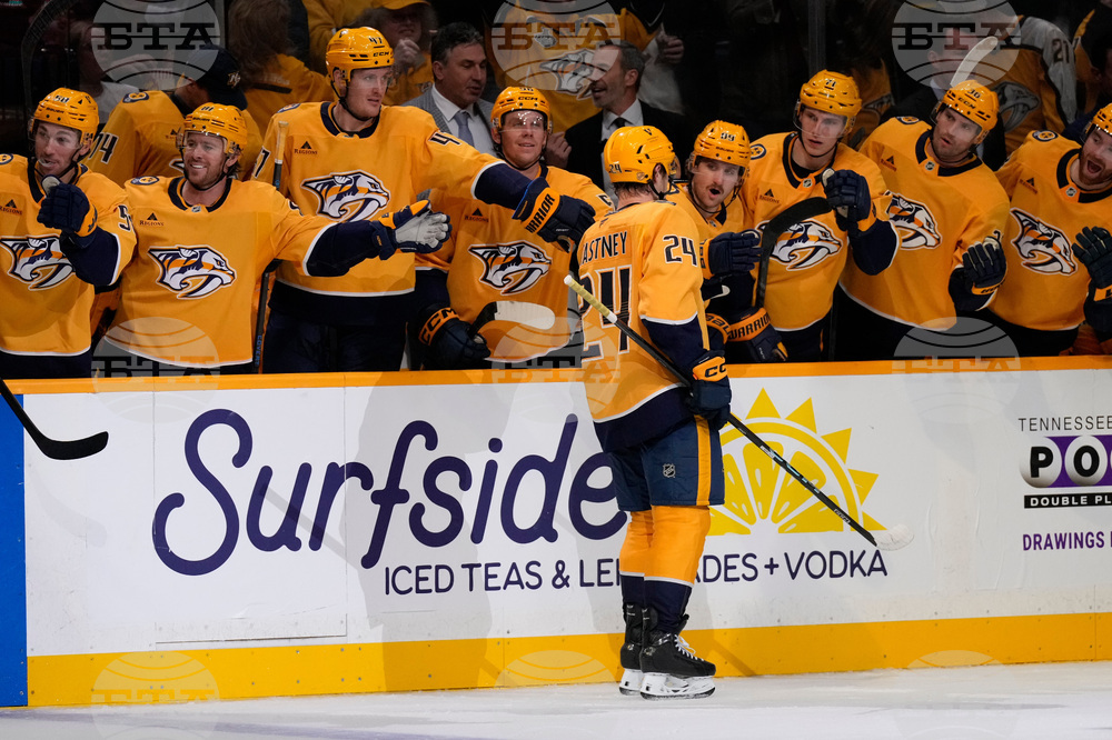 Stars Predators Hockey