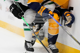 Stars Predators Hockey
