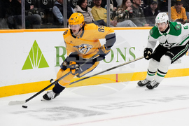 Stars Predators Hockey