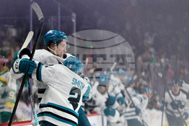Sharks Wild Hockey