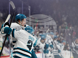 Sharks Wild Hockey