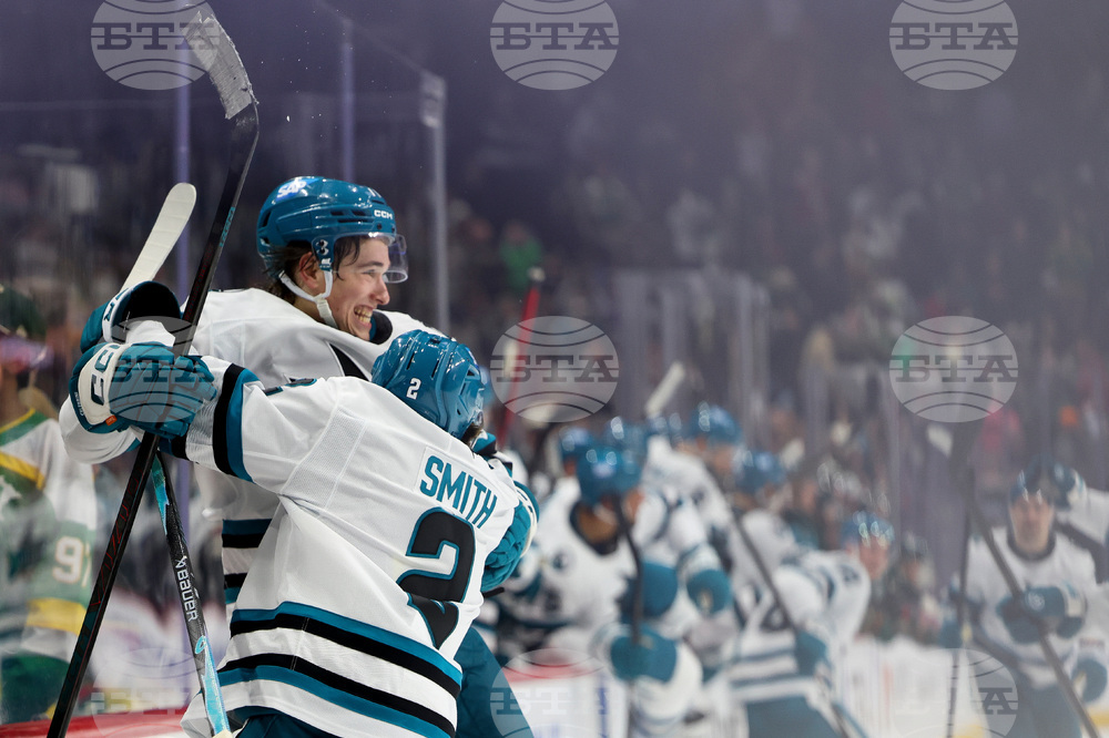 Sharks Wild Hockey