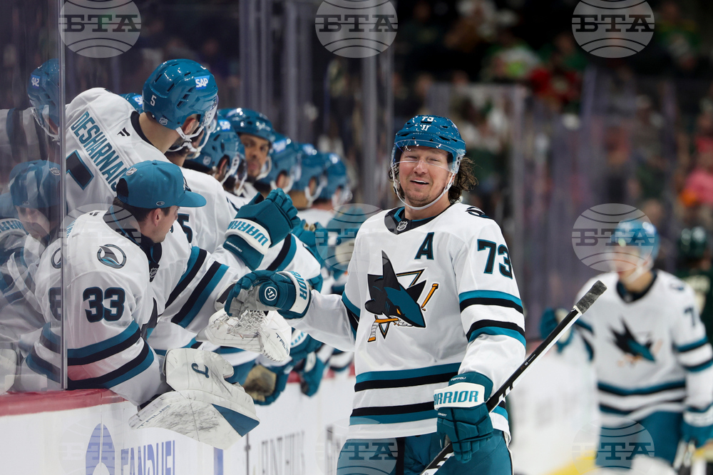 Sharks Wild Hockey
