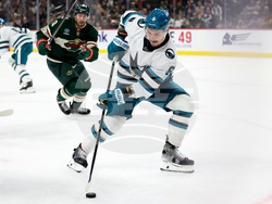 Sharks Wild Hockey
