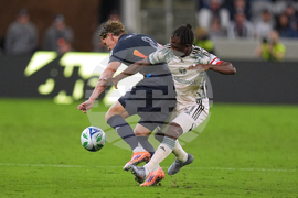 MLS Timbers San Diego Soccer