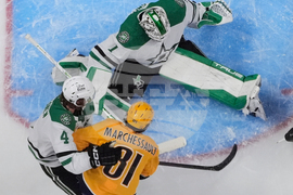 Stars Predators Hockey