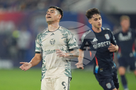 MLS Timbers San Diego Soccer