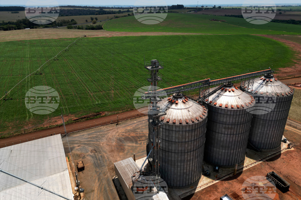 Купувачи от Китай увеличават поръчките на бразилска соя заради по-ниски цени от тези в САЩ