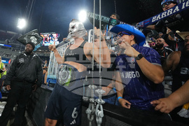 MLS Timbers San Diego Soccer