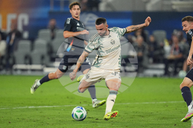 MLS Timbers San Diego Soccer