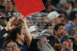 MLS Timbers San Diego Soccer