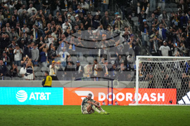 MLS Timbers San Diego Soccer