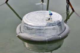 Антарктида - Ден 66 - тема на деня - Хидробиологът Весела Евтимова: Повечето езера в Антарктика поглъщат въглероден диоксид и допринасят за намаляването му в атмосферата