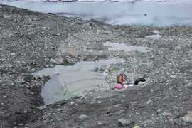 Антарктида - Ден 66 - тема на деня - Хидробиологът Весела Евтимова: Повечето езера в Антарктика поглъщат въглероден диоксид и допринасят за намаляването му в атмосферата