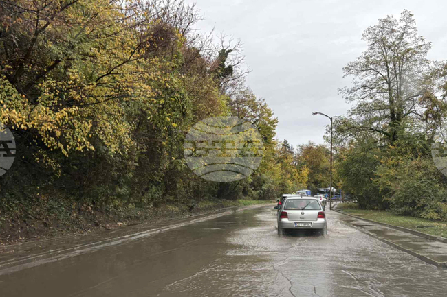 Екипите на пътноподдържащите фирми имат 24-часови дежурства и реагират веднага за разчистване на свлечена скална маса от дъждовете, съобщиха от АПИ