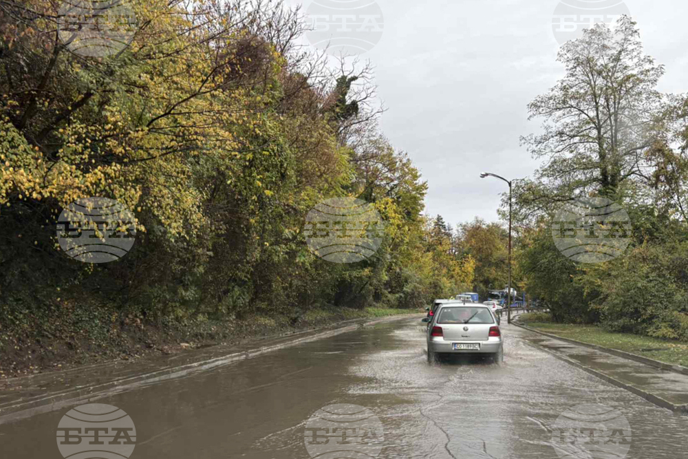 Квартал „Панчарево“ - обстановка