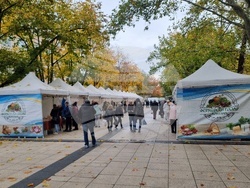 Монтана-фермерски пазар2025-5