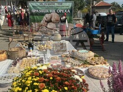 Снимка: Община Стара Загора 