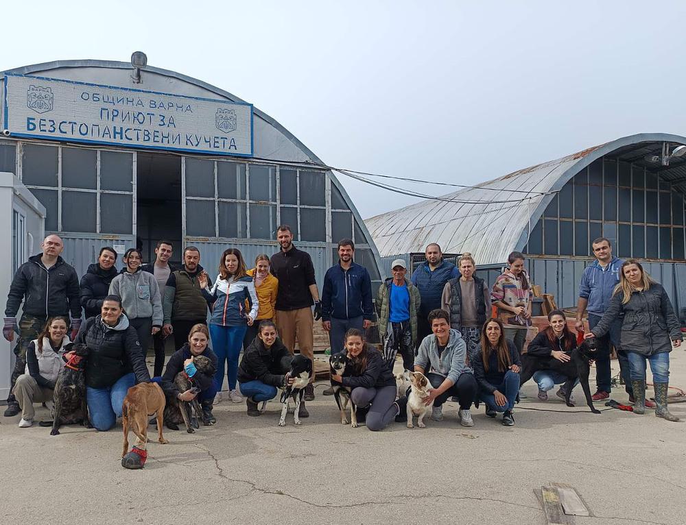 Община Варна: Питомниците на приюта в с. Каменар се сдобиха с обновени дървени къщички