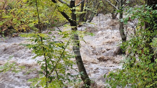 През изминалото денонощие нивата на голяма част от наблюдаваните реки в Западнобеломорския басейн са се повишили краткотрайно