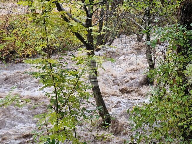 Пожарникари и техника на Община Рила са отстранили земна маса от пътното платно в участъка от пътя Рилски манастир – Кирилова поляна
