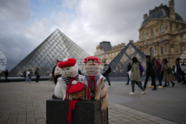 APTOPIX France Louvre