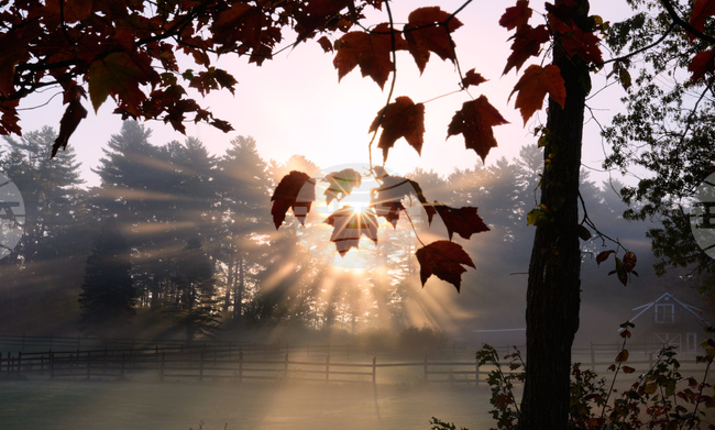 Be Well Time Change Explainer