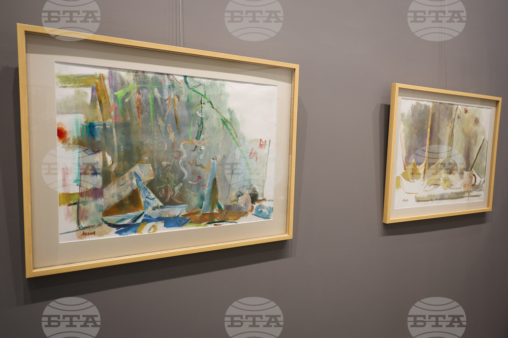 Бургас - Анелия Николова - изложба живопис