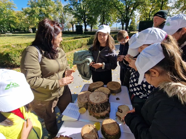 Областна администрация Видин: Деца залесиха чинари в нова „Алея на будителите“ край крепостта „Баба Вида“ във Видин